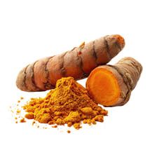 Curcuma
